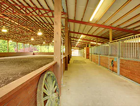 Highbays im Stall Highbays im Stall