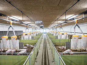 Stallbeleuchtung mit Wannenleuchten Stallbeleuchtung mit Wannenleuchten